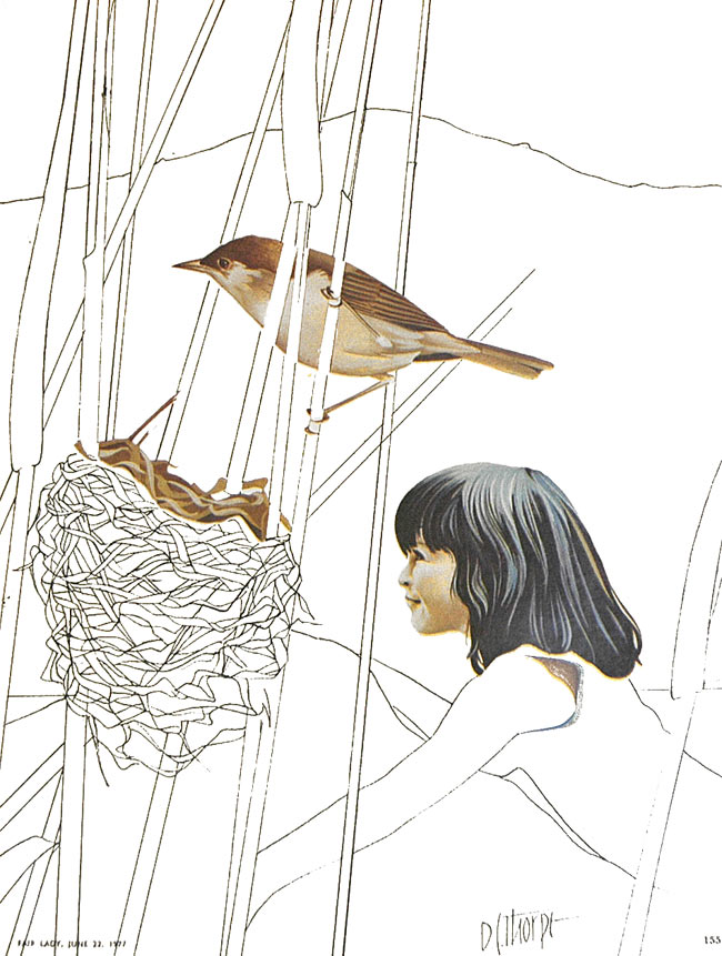 Illustration for Fair Lady Magazine - Gouache and pen